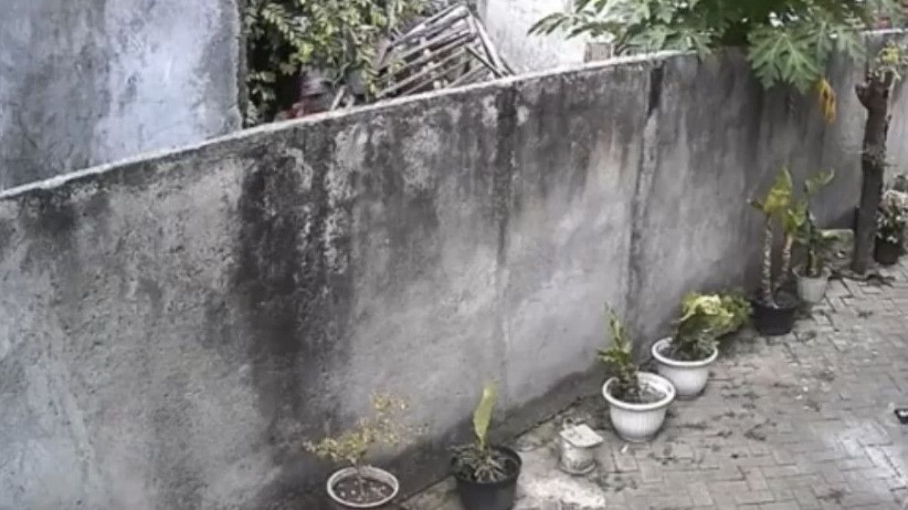 Diduga Sakit Hati Jalanan Ditembok, Pria Sengaja Lempari Rumah dengan Batu Tanpa Kenal Waktu, Korban: Baliau Pakde dari Ayah Saya!