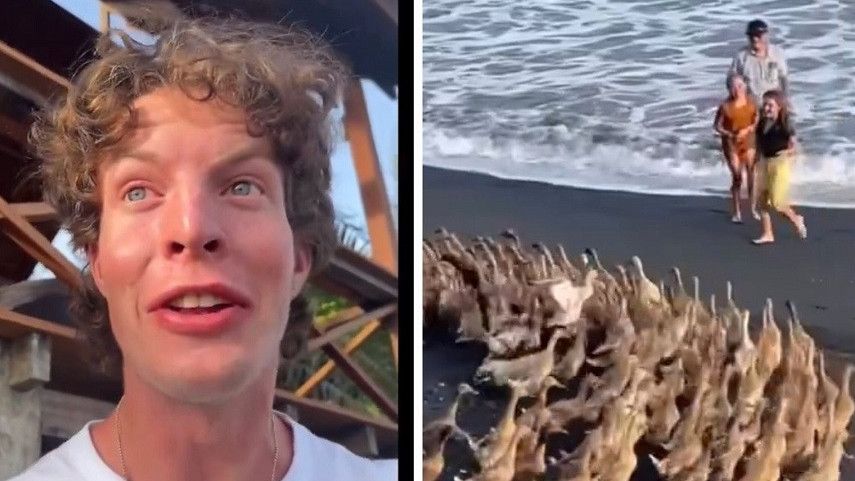 Momen Lucu Bule Kegirangan Lihat Bebek di Pinggir Pantai: Duck, Baruduck Well!