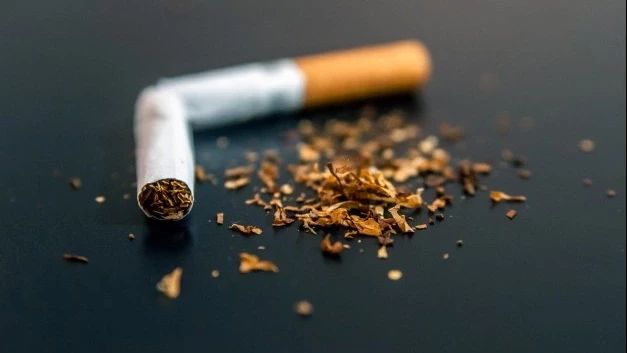 Selandia Baru Berencana Larang Penjualan Tembakau, Alasannya Mulia
