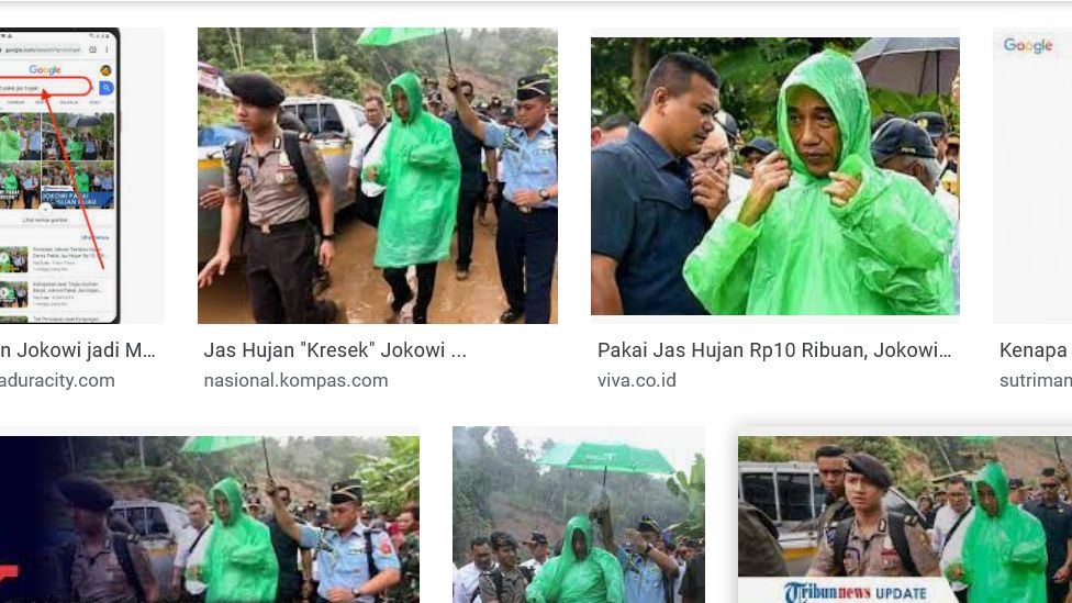 Alasan Kenapa Cari Kata 'Monyet Pake Jas Hujan' di Google yang Muncul Foto Jokowi Pakai Jas Hujan