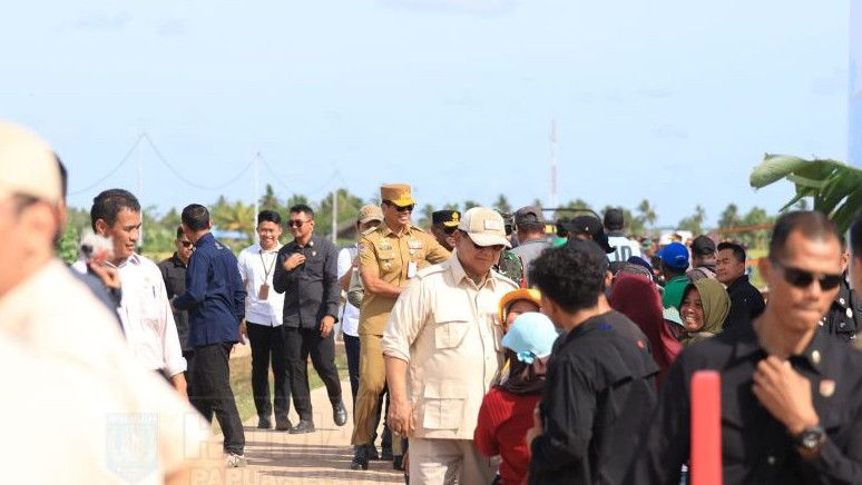 Kunjungan Perdana ke Papua Selatan, Prabowo Tinjau Ketahanan Pangan