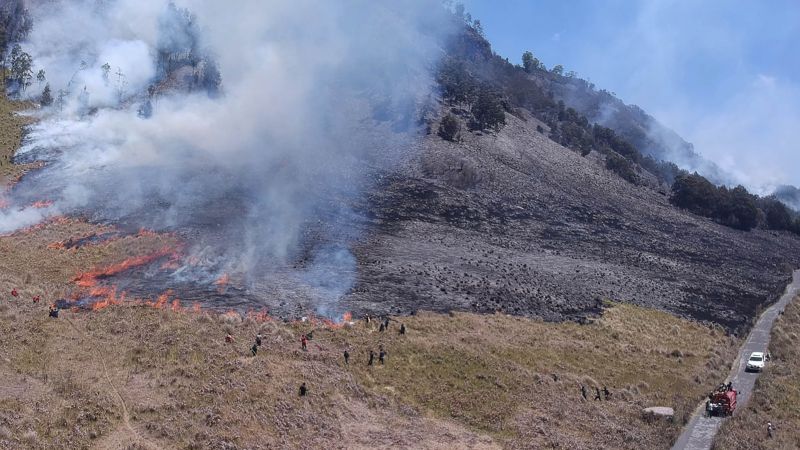 Wisata Gunung Bromo Masih Ditutup Total Usai Kebakaran Hutan dan Lahan