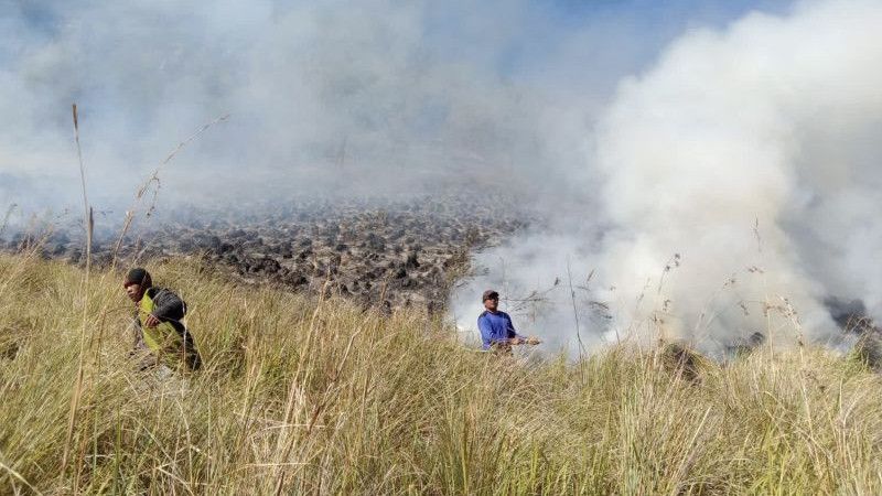 Wisata Bromo Kembali Dibuka Pasca Kebakaran Lahan dan Hutan, Pengunjung Diimbau Hati-hati Penggunaan Api