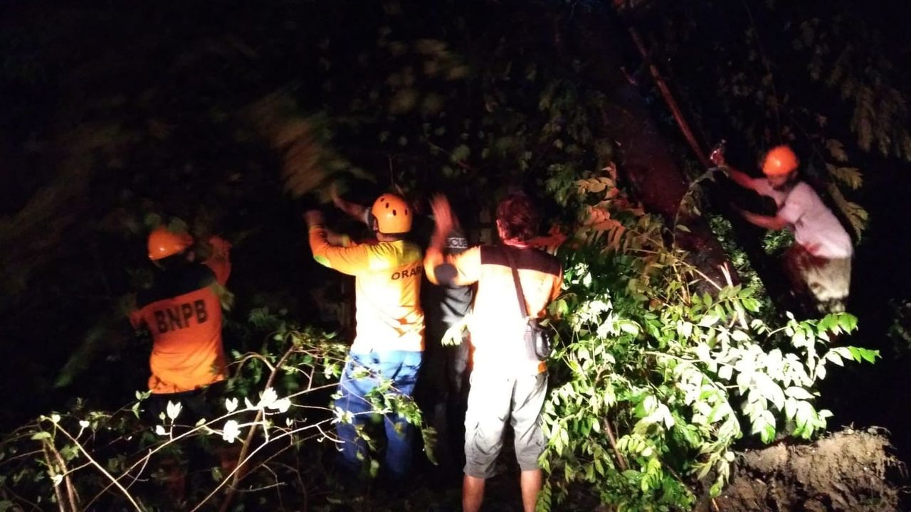 Kabar Bencana dari Sragen: Angin Kencang Sebabkan 34 Rumah Rusak Ringan dan Pohon Tumbang