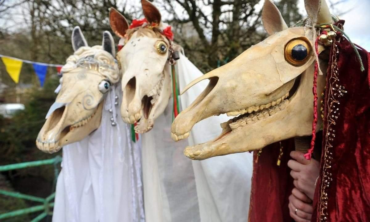 Mari Lwyd (X/HollieB)