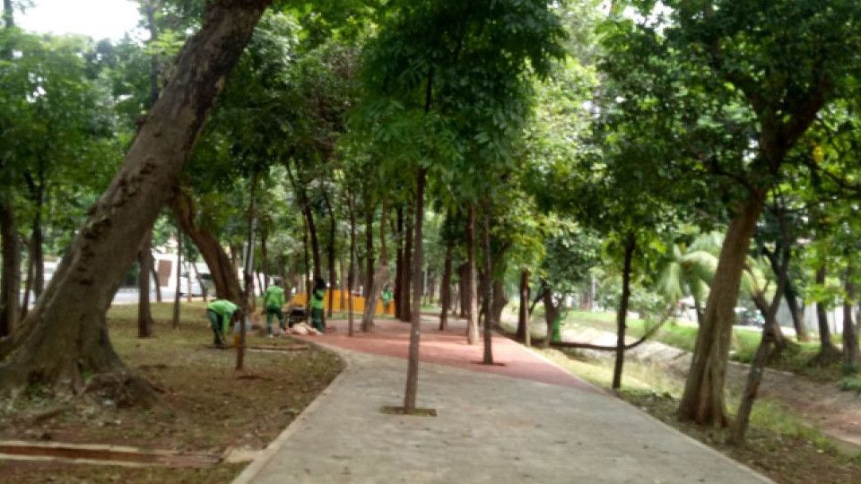 Taman Mahoni Jaktim Jadi Tempat Esek-Esek, Satpol PP Diingatkan Bilangnya 'Oh Iya' Saja