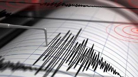Gempa Magnitudo 4,8 Guncang Pacitan di Jawa Timur, Getaran Dirasakan Hingga Yogyakarta