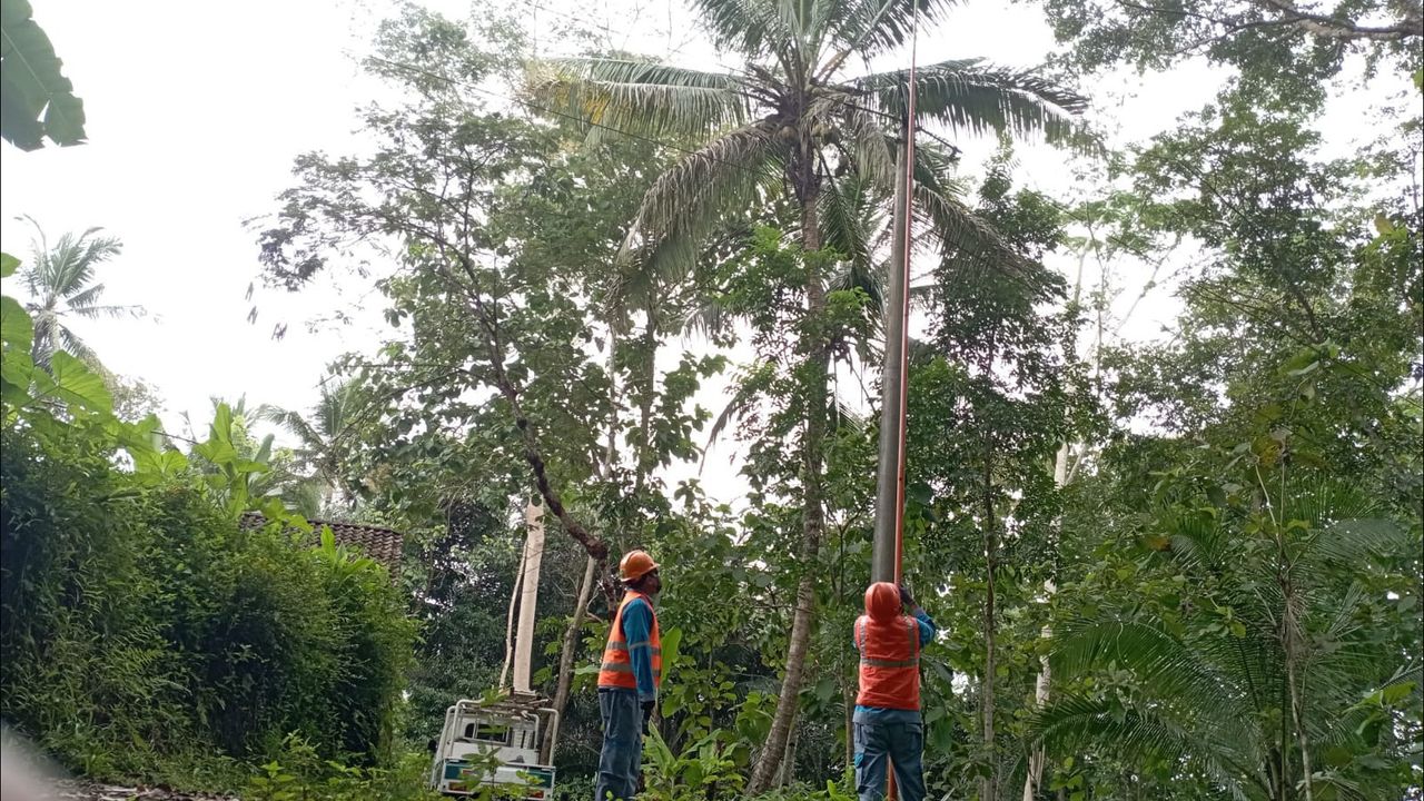 Listrik di Desa Wadas Purworejo Mati Saat Dikepung Polisi, PLN: Akibat Pohon Tumbang