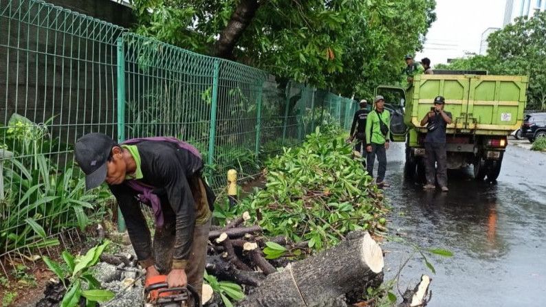 Bikin Ngeri! Hujan Deras-Angin Kencang di Jakarta, Pohon Bertumbangan