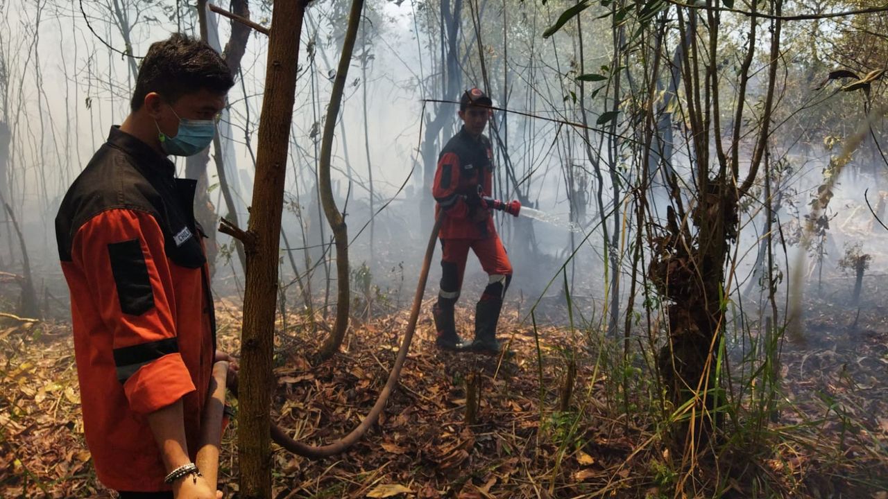 Penampakan Lahan 3 Hektare Terbakar di Ogan Ilir Sumsel, Berhasil Dipadamkan Satgas Gabungan