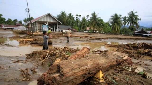 Kayu Gelondongan Terseret Banjir di Sumatra, Satgas PKH Usut Dugaan Pembalakan Liar