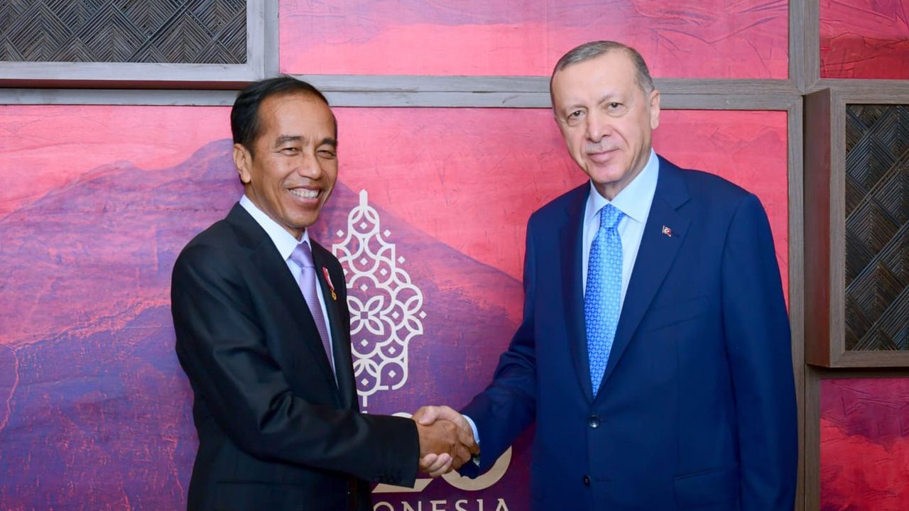 Bertemu Erdogan di Bali, Jokowi Bahas Solusi Damai Rusia-Ukraina