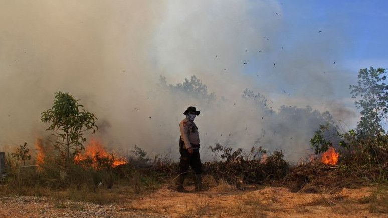 Mendagri Tito Minta Kepala Daerah Waspadai Potensi Karhutla Saat Musim Kemarau