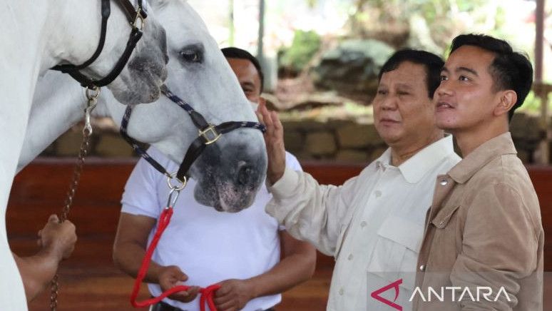 Penuhi Undangan Prabowo di Hambalang, Gibran Diajak Berkuda dan Dapat Oleh-Oleh