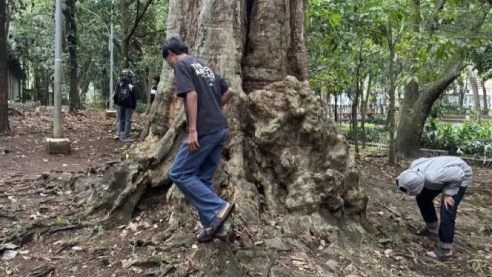 Aplikasi Jagat Ditegur Kemenkomdigi, Bakal Ubah Format Berburu Koin biar Tak Ganggu Ketertiban