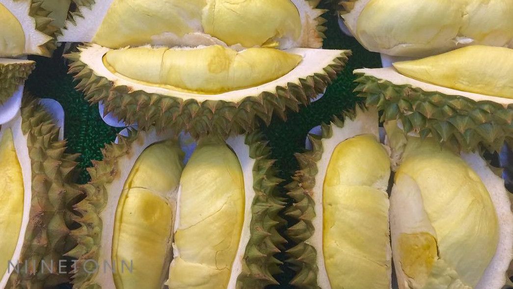 Viral, Durian Sultan Seharga Iphone, Netizen: Cuma Sultan yang Mampu Beli