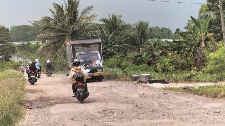 Jalan Penghubung Antarkecamatan di Lampung Selatan Rusak Parah, Warga Sebut Terakhir Diaspal 15 Tahun Lalu