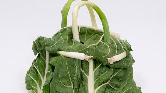 Kreatif dengan Bahan Sayuran, Hermes Hadirkan Tas Birkin dari Asparagus, Kubis, Hingga Mentimun