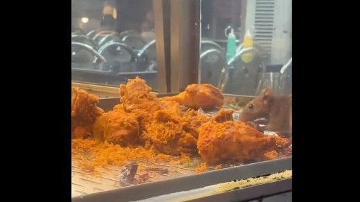 Jijik, Tikus Gerayangi Etalase Ayam Goreng, Kemenkes Malaysia Langsung Tutup Kedai Makan
