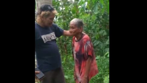 Viral, Nenek 80 Tahun Dilaporkan ke Polisi oleh Tetangganya karena Mencuri Kelapa
