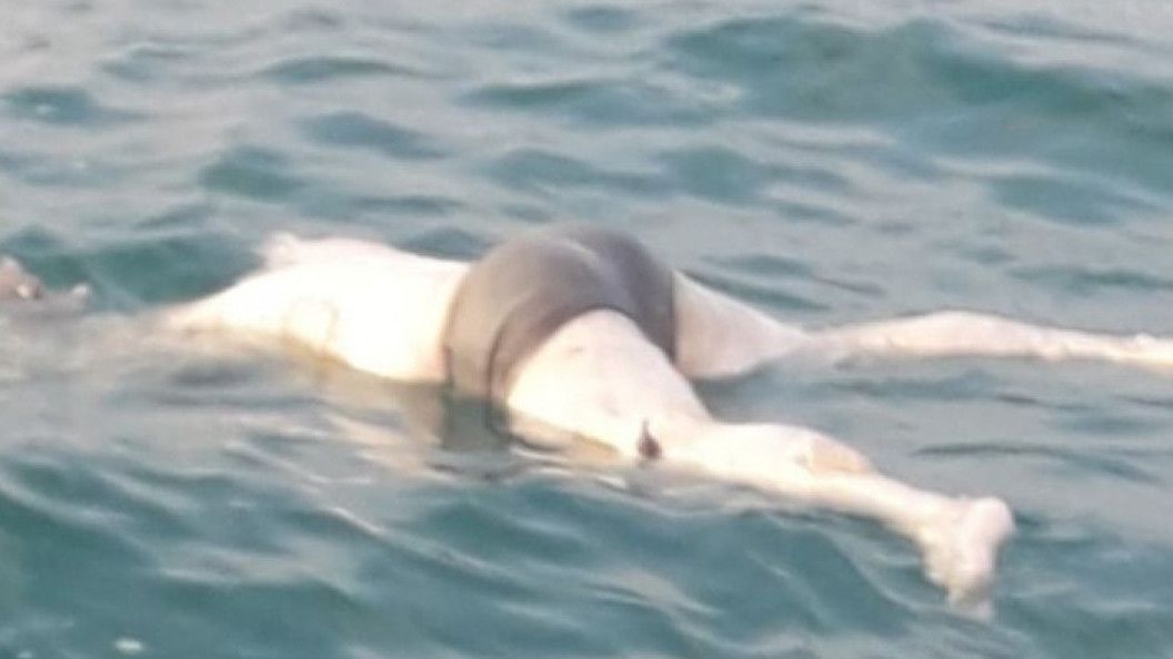 Mayat Tanpa Kepala di Kali Ciliwung Meninggal Satu Minggu Lebih, Polisi Akui Kesulitan Identifikasi