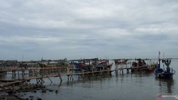 Sering Dengar Bunyi Klakson Bisa Bikin Kamu Gendut - ERA.ID