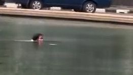 Viral Perempuan Diduga ODGJ Asyik Berendam di Kolam Patung Kuda Arjuna Wiwaha, Ketahuan Langsung Kabur
