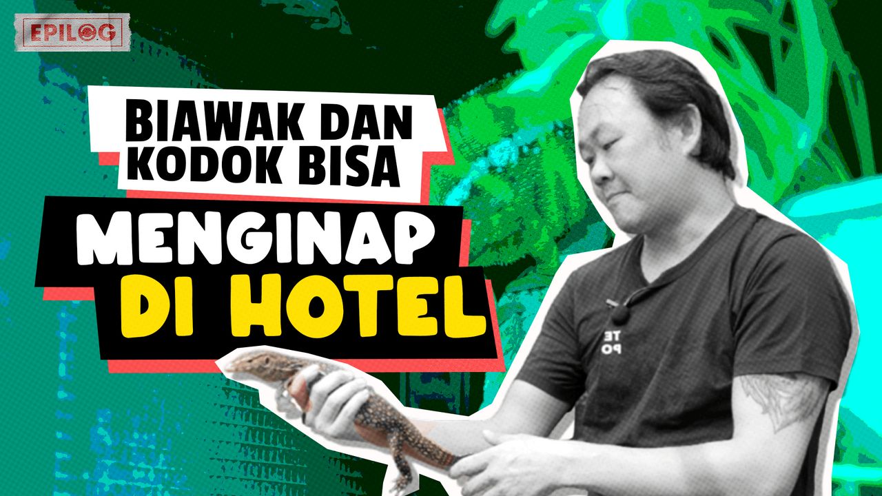 Staycation ala Reptil hingga Mamalia di Hotel Bintang Lima