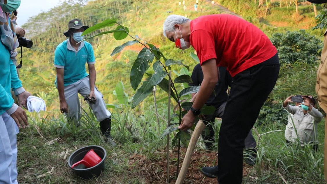 Tanam 1.000  Pohon di Banjarnegara Bersama Masyarakat, Ganjar: Kalau Inisiatif Warga Seperti Ini Bagus