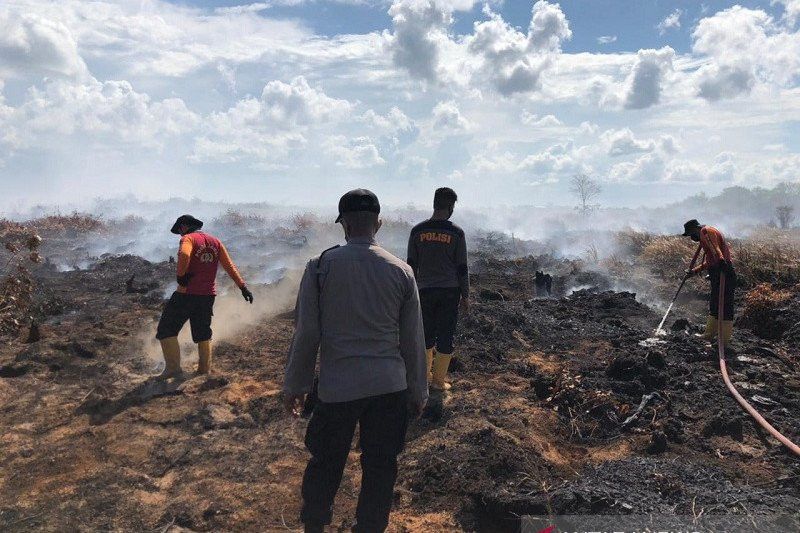 Lahan di 3 Daerah Terbakar, Jambi Naik Status Jadi Siaga Darurat Karhutla