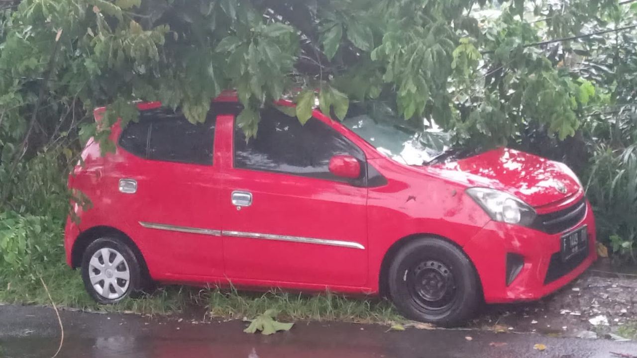 Hujan Angin di Bogor Tumbangkan Pohon hingga Timpa Mobil