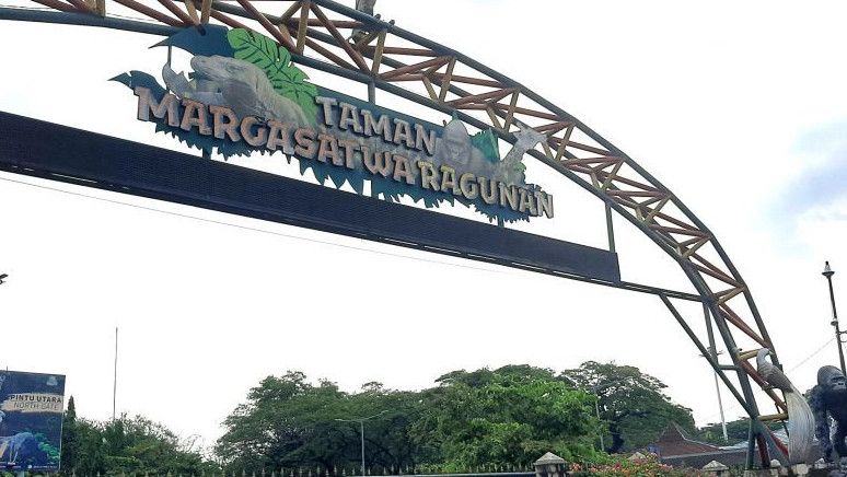 Taman Margasatwa Ragunan Jakarta Optimis Raih Pendapatan Rp20 Miliar Pada 2023