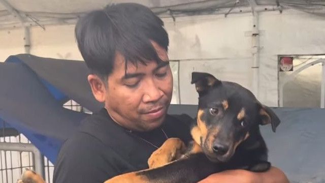 Polisi dan Pencinta Satwa Gerebek Rumah Jagal Anjing di Surabaya
