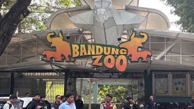 Soal Konflik Internal Bandung Zoo, Walkot Farhan: Keputusan di Pemerintah Pusat
