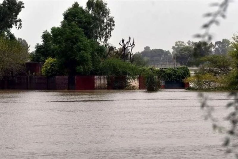 Banjir Afganistan, 315 Orang Meninggal dan Seribu Hewan Ternak Mati