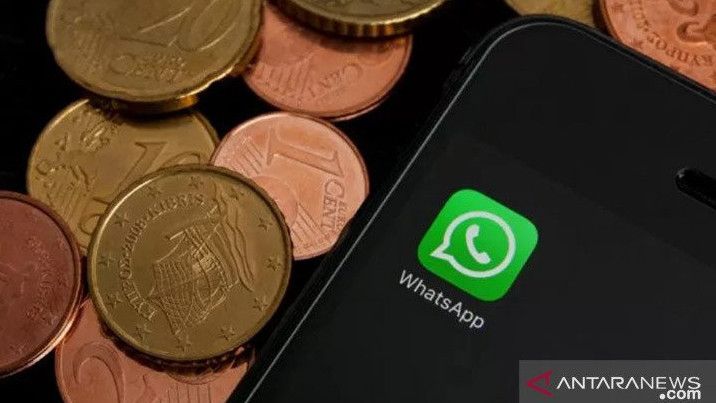 Fitur Transfer Uang via WhatsApp Berjalan Lagi di Brazil