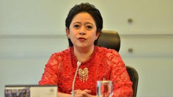Puan Belum Jalani Tugas dari Megawati Penjajakan ke Parpol Lain, PDIP: Puan Dengarkan Suara Rakyat Dulu