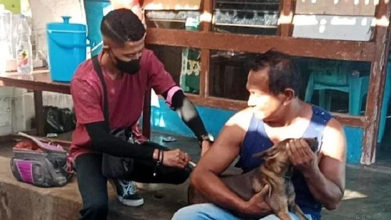 Dinas Pertanian Sikka Imbau Warga Vaksinasi Rabies ke Peliharaannya, Vaksinasi Darurat Dilakukan di 10 Titik Kasus Positif