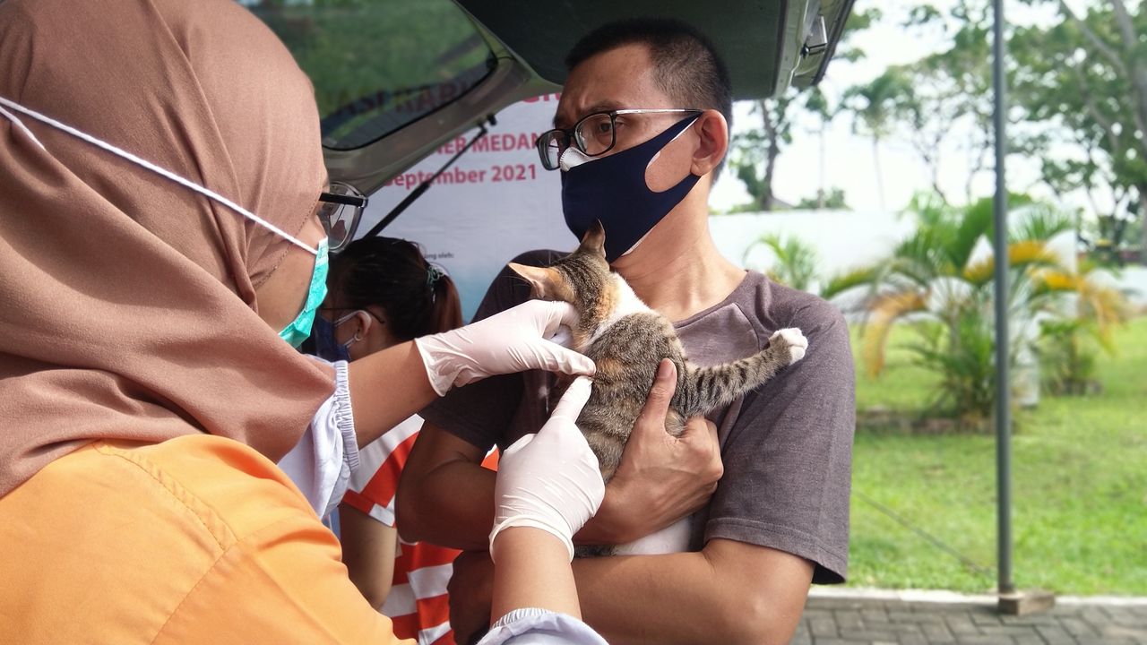 Tiga Kabupaten Penyumbang Kasus Rabies Tertinggi di Sumut, Pemkot Medan Gelar Vaksinasi Gratis