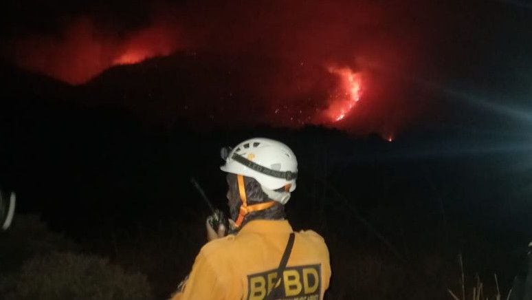 BPBD Sebut Kebakaran Hutan Papandayan Garut Berhasil Dipadamkan