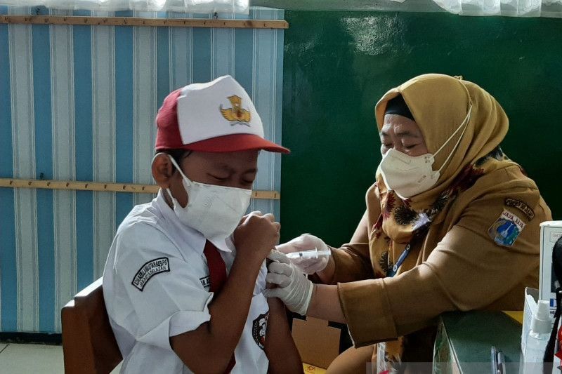 Jokowi Perintahkan Menkes Siapkan Vaksin Cacar Monyet