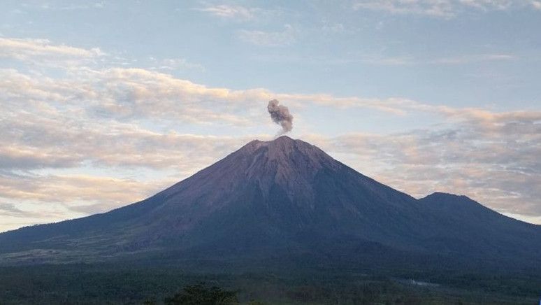 Gunung Semeru Erupsi, Abu Vulkanik Capai 700 Meter