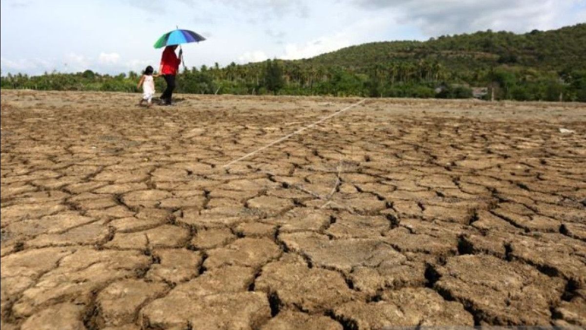 Antisipasi Dampak El Nino di Sulteng, BMKG Imbau Masyarakat Hemat Air