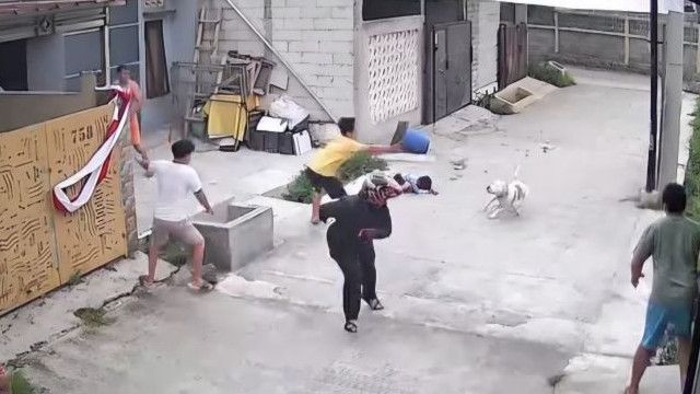 Nasib Anak Kecil Viral yang Digigit Anjing Pitbull di Bandung
