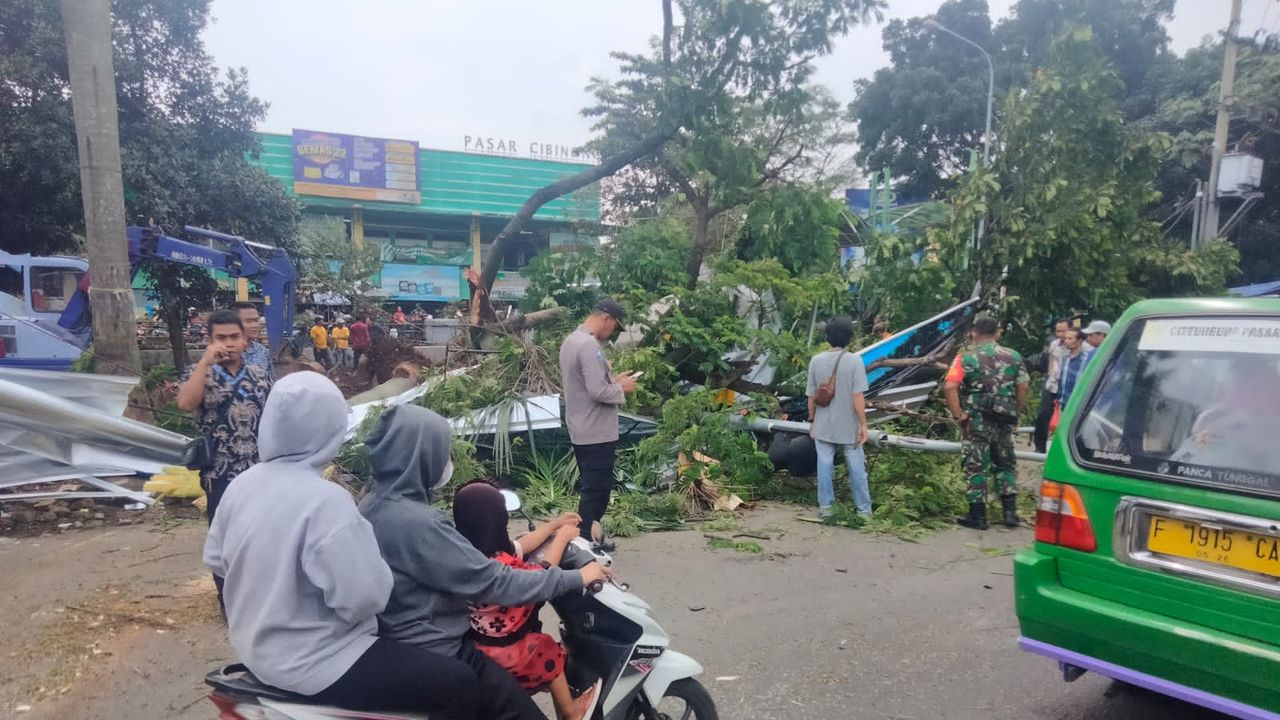 Pohon Tumbang di Bogor Menimpa Mobil dan Motor Milik Warga