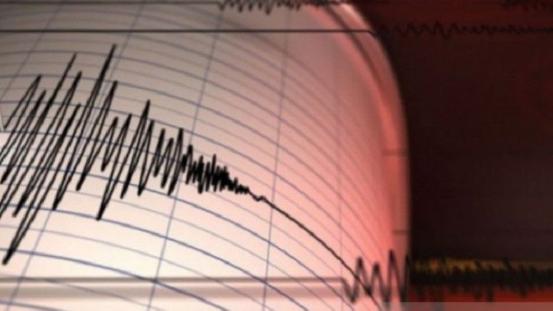 Gempa Magnitudo 4,1 Guncang Pangandaran pada Minggu Dini Hari