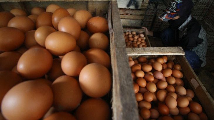 Harga Telur di Makassar Melambung Jadi Rp60 Ribu Per Rak