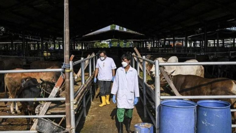 22.795 Hewan Kurban Telah Diperiksa, Dinas KPKP Jakarta Pastikan Dagingnya Aman Dikonsumi