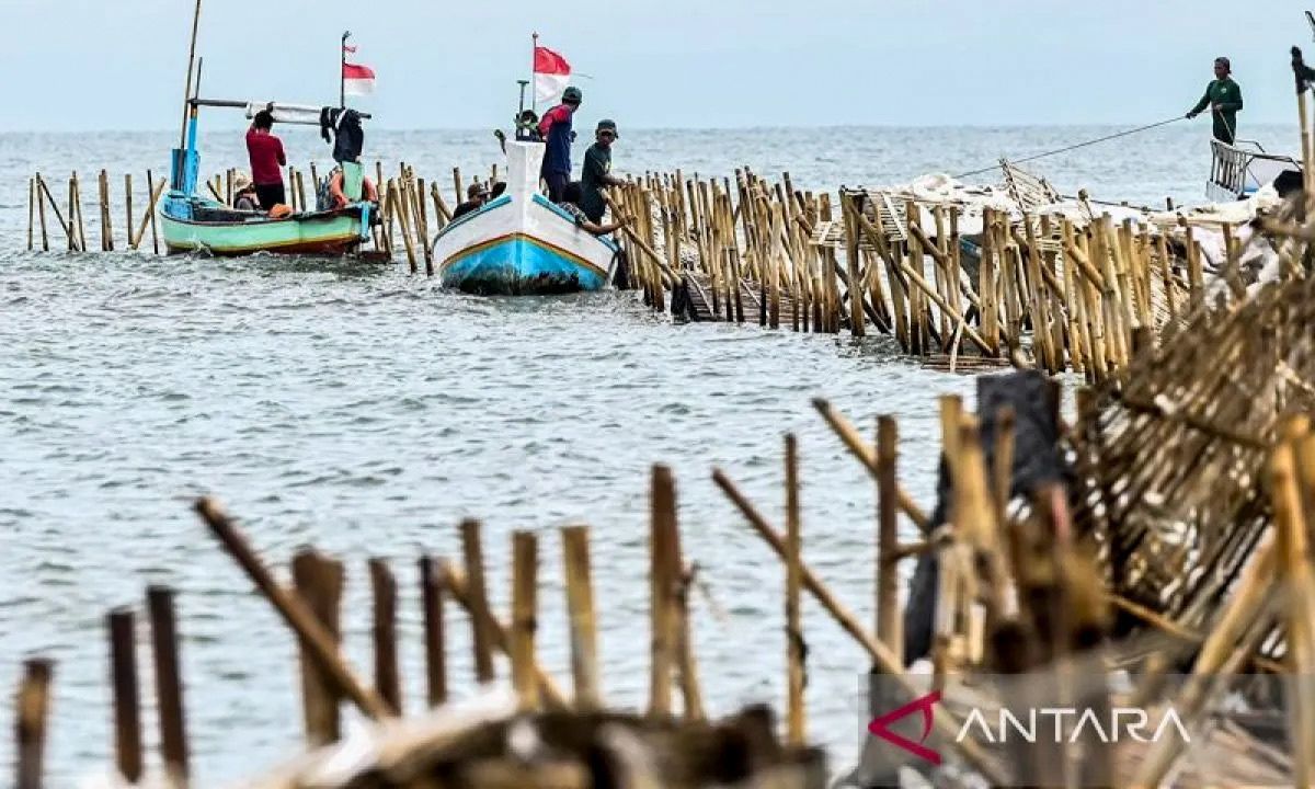 Palsukan Dokumen, Kades Kohod Segera Ditetapkan Tersangka Kasus Pagar Laut Tangerang?