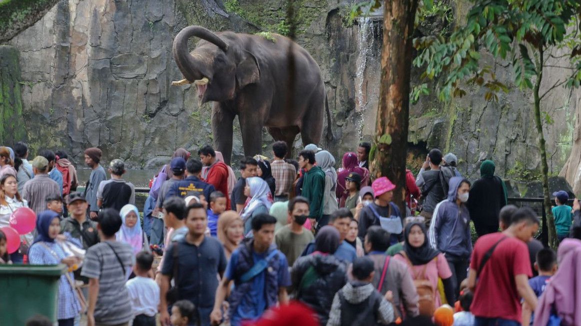 Puncak Pengunjung Taman Margasatwa Ragunan Jakarta Diprediksi 1 Januari 2025